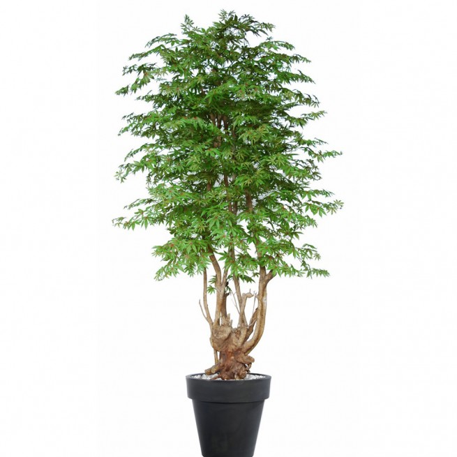 Planta semi-artificiala Ila, Maple Malabar Lux Multicolor - 250 cm